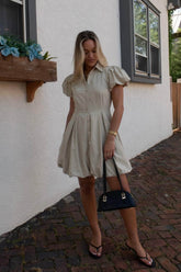 Parisian Market Dress