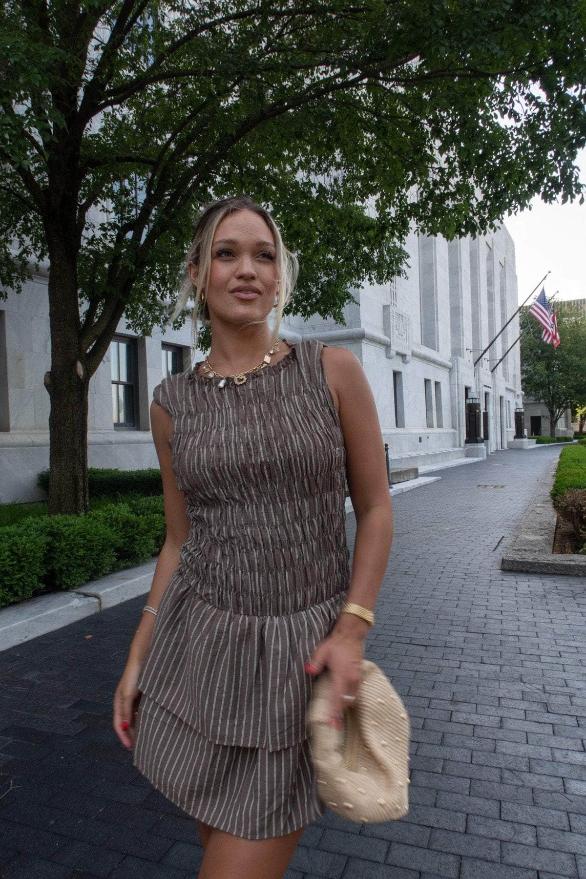 Brown Striped Ruffle Mini Dress